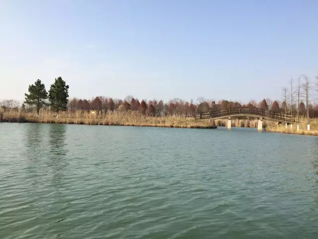 太湖湿地公园.JPG